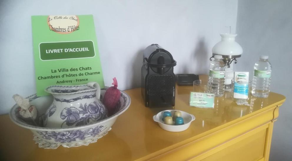 La Villa Des Chats Andrésy Екстериор снимка